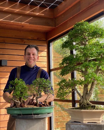 Bonsai zelkova bossage nr 221 1